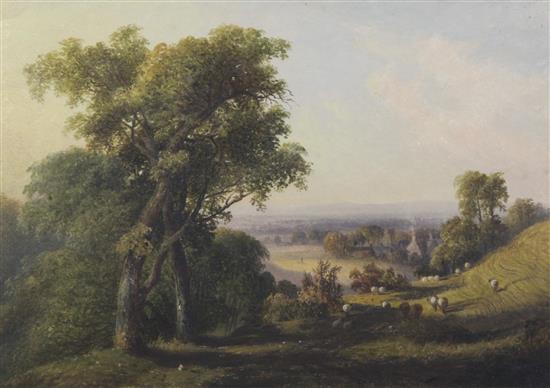 English School circa 1850 Beeding and Bramber, 7.5 x 10.5in.